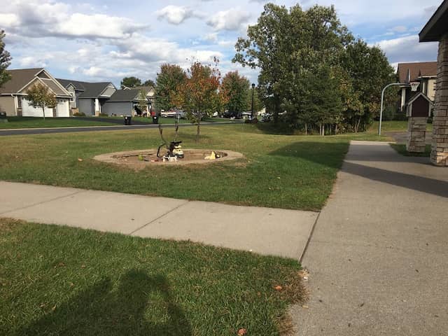Sophie’s Park - Image 1
