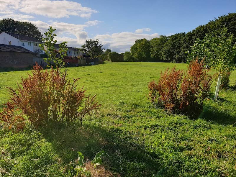 Crowbridge Green - Image 2