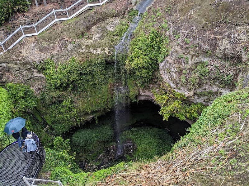 Cave Garden - Image 1