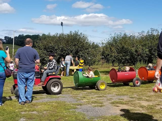 Hausman Fruit Farm - Image 2