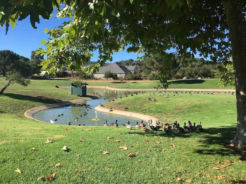 Morgan Hill Community Park - Image 2