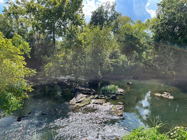 Riverfront Park Amphitheater - Image 2