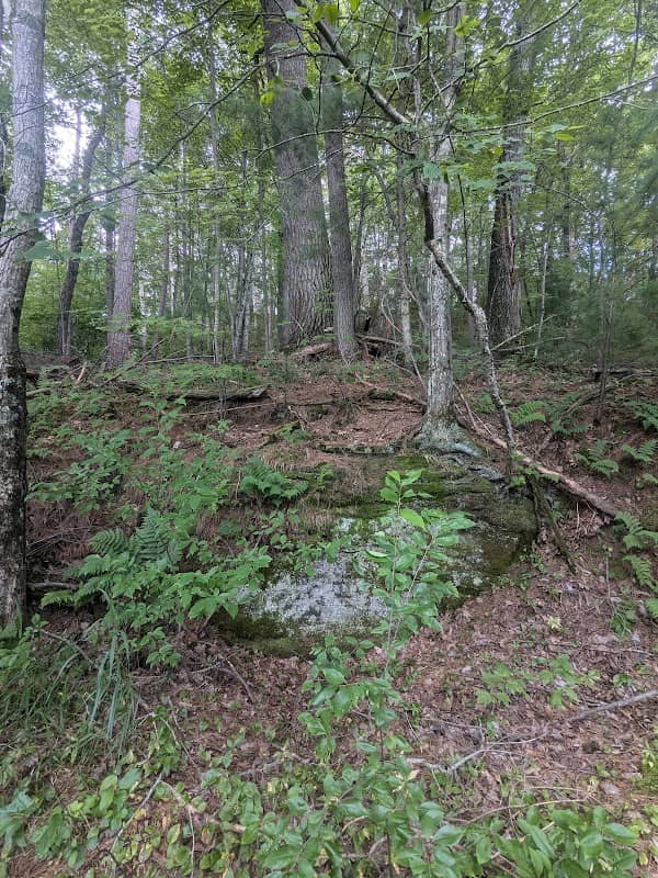 Joas Park Nature Preserve - Image 2