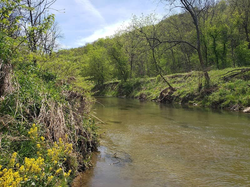 Coon Creek Cliffs State Natural Area - Image 2