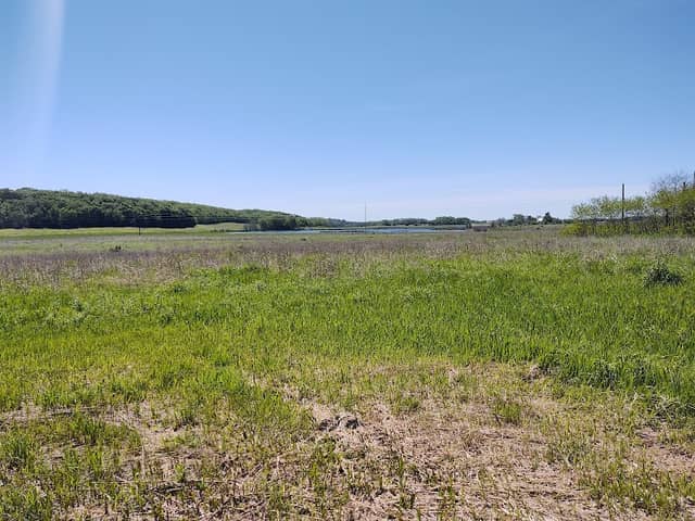 Northrup King Waterfowl Production Area - Image 1