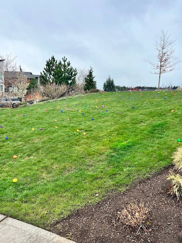 Civic Park at Ten Trails - Image 1