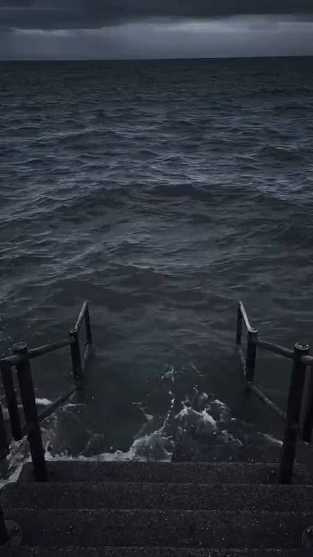 Ocean Meme Place - Image 1