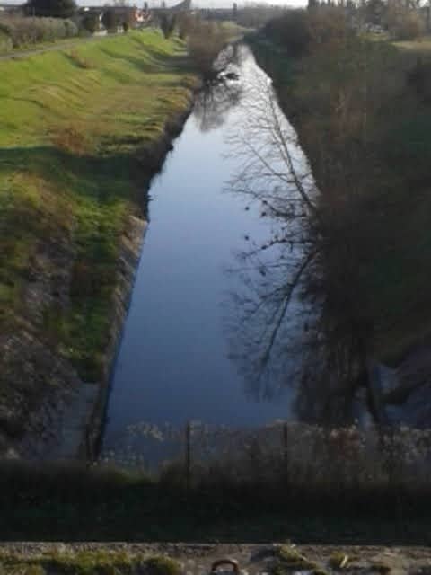 Piccola "Botte" - Image 2