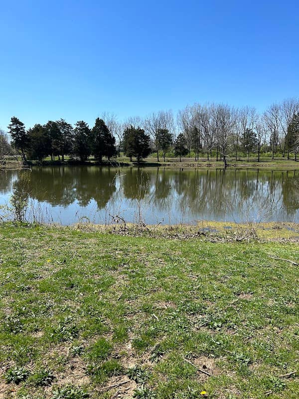 Eyman Park - Image 2