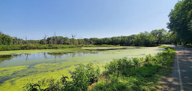 LaSalle Fish & Wildlife Area - Image 3
