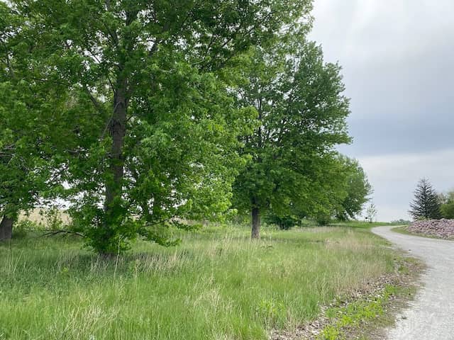 Decatur Bend Access - Image 2