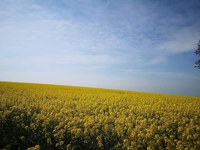 Sarnowska Góra - Image 1