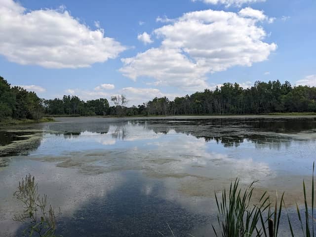 Celery Bog Nature Area - Image 2