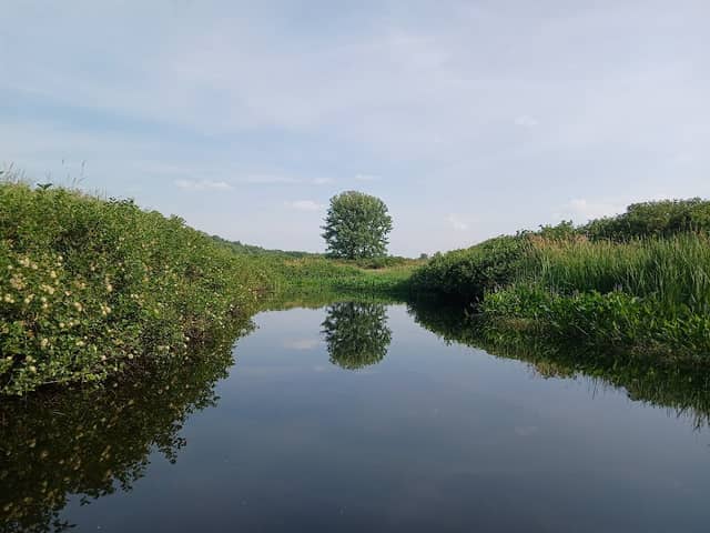 Kanokolus Bog Preserve - Image 2