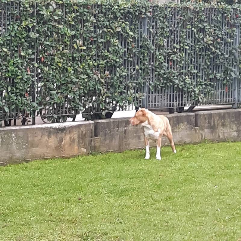 Parco Ex Odling - Image 1