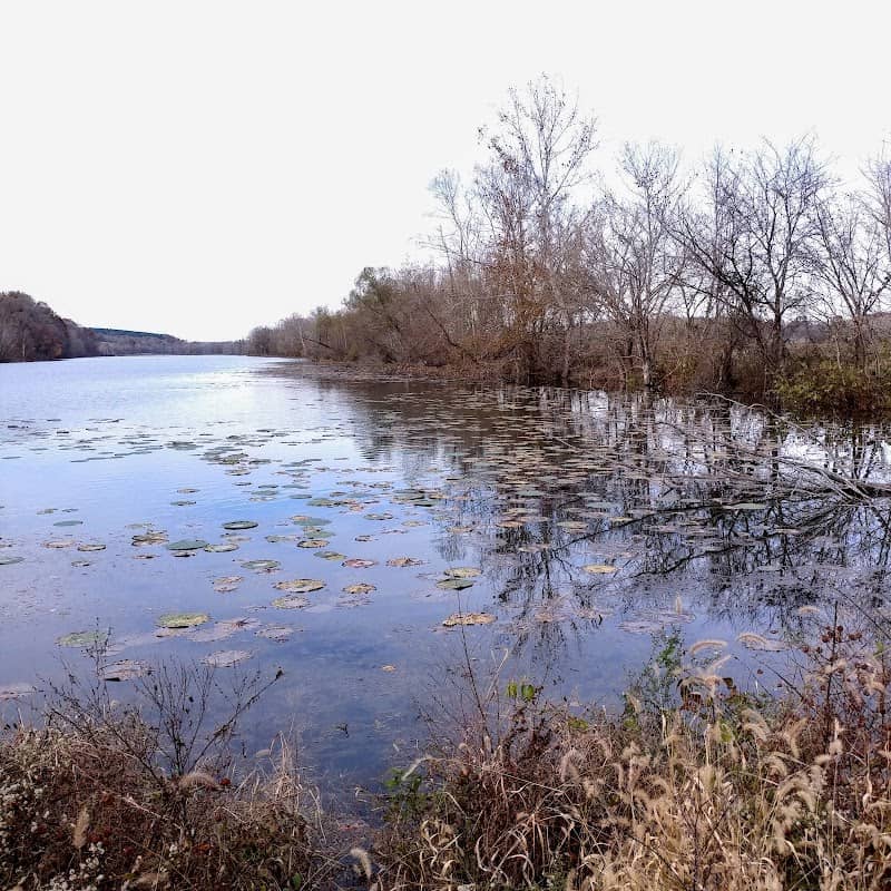 Cross Creeks National Wildlife Refuge - Image 1
