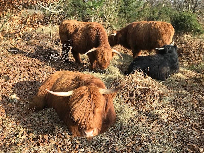EdgeHills Nature Reserve - Image 2