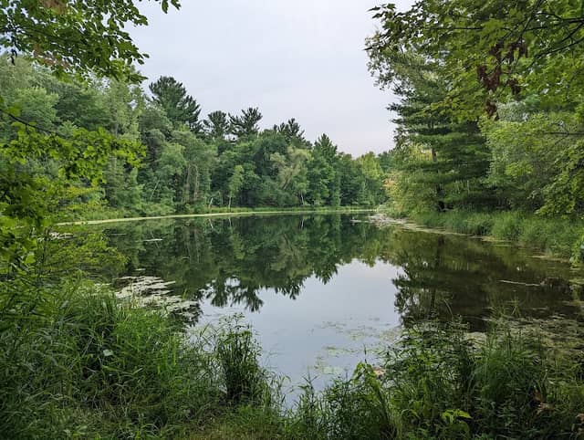 Plover River Park - Image 1