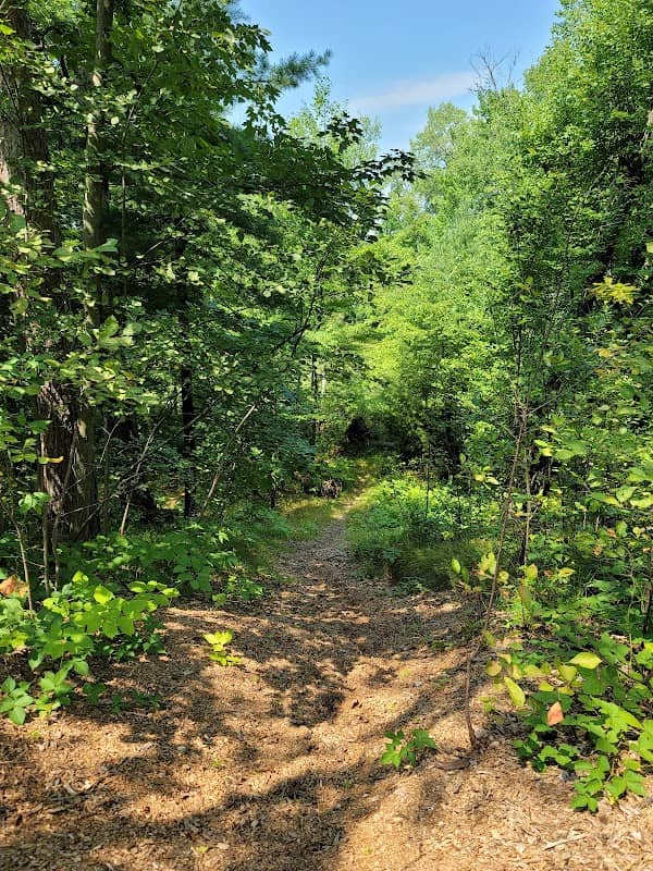 Plover River Park - Image 2