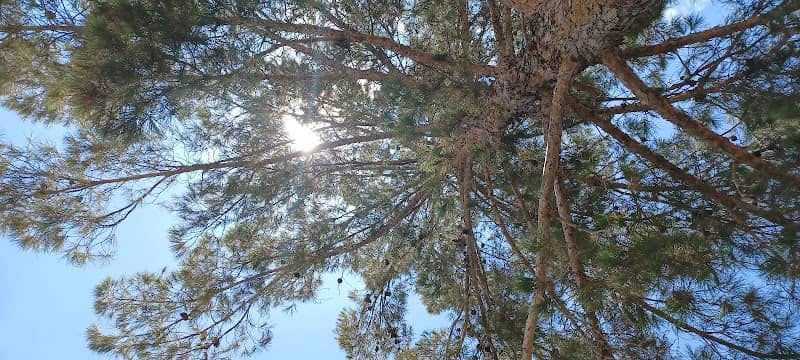 Bill McNeel Park - Image 2