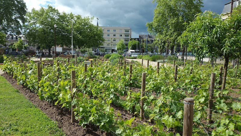 Square Charles Boudy - Image 2