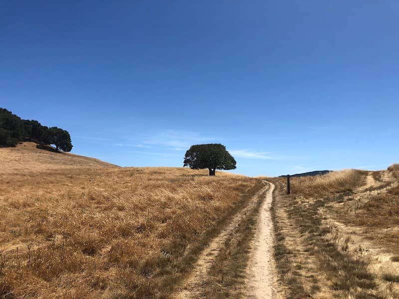 Deer Island Open Space - Image 1