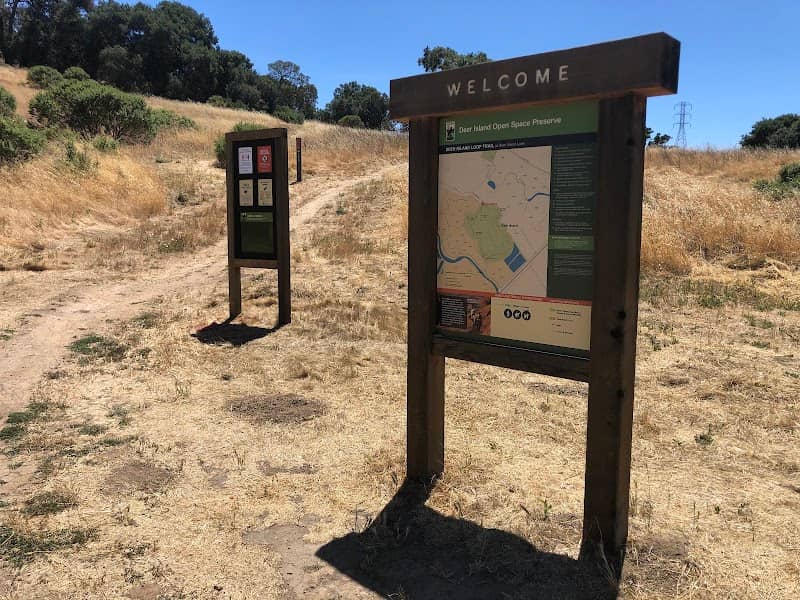 Deer Island Open Space - Image 2
