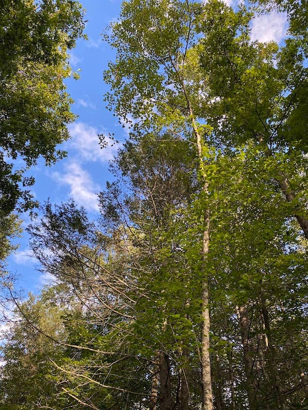 Bill Hendley Trail - Image 2