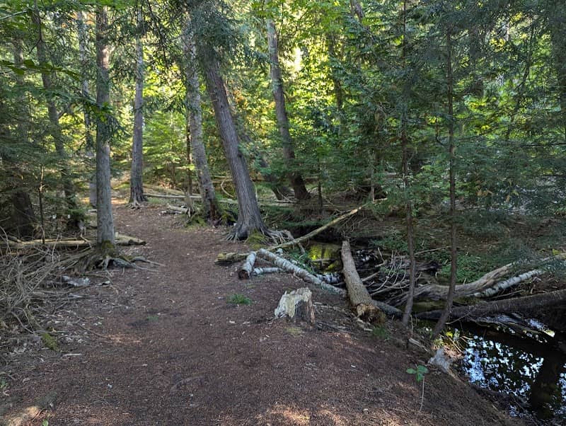 Leslie Nature Preserve - Image 1