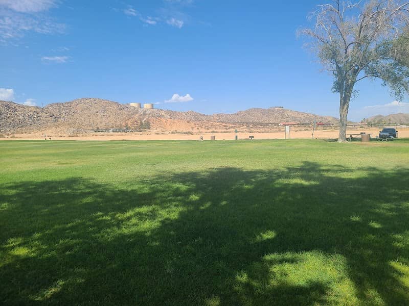 Lions Park - Image 1