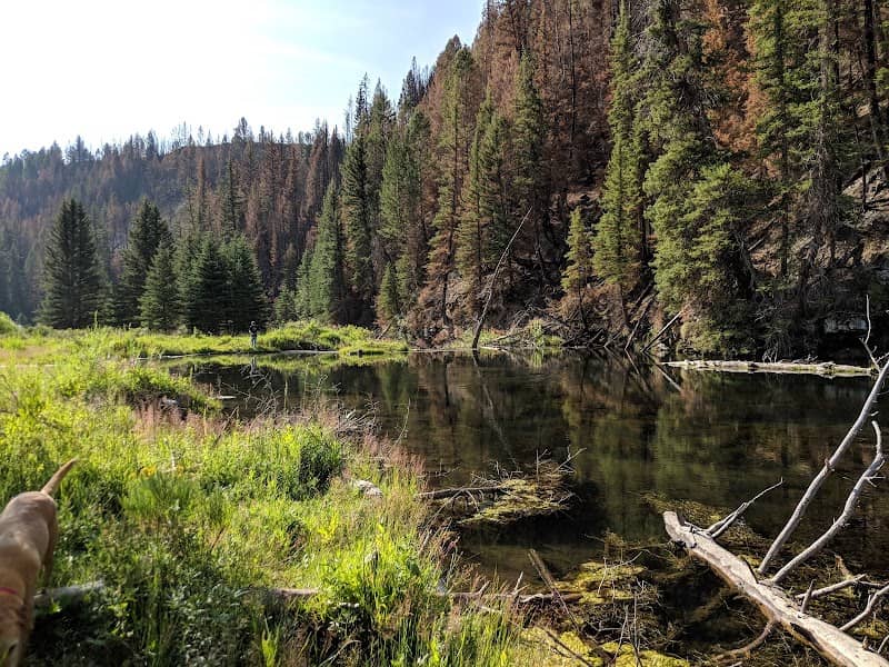 Strawberry River Day Use Area - Image 1