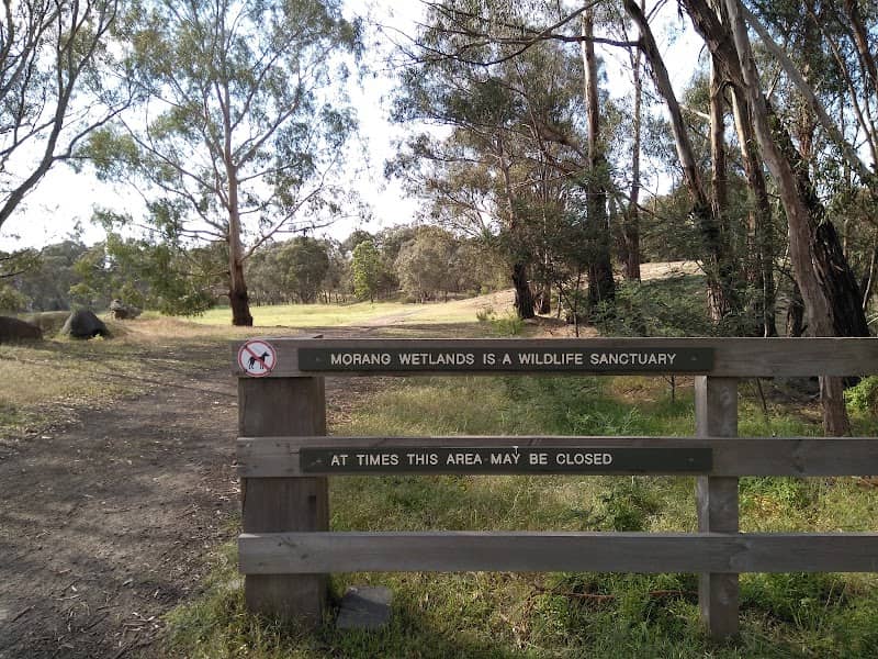 Morang Wetlands - Image 1
