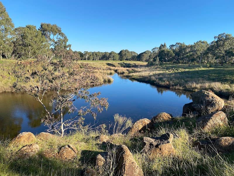 Morang Wetlands - Image 3