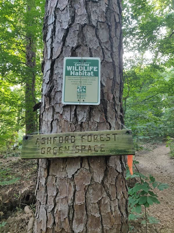 Ashford Forest Preserve - Image 1