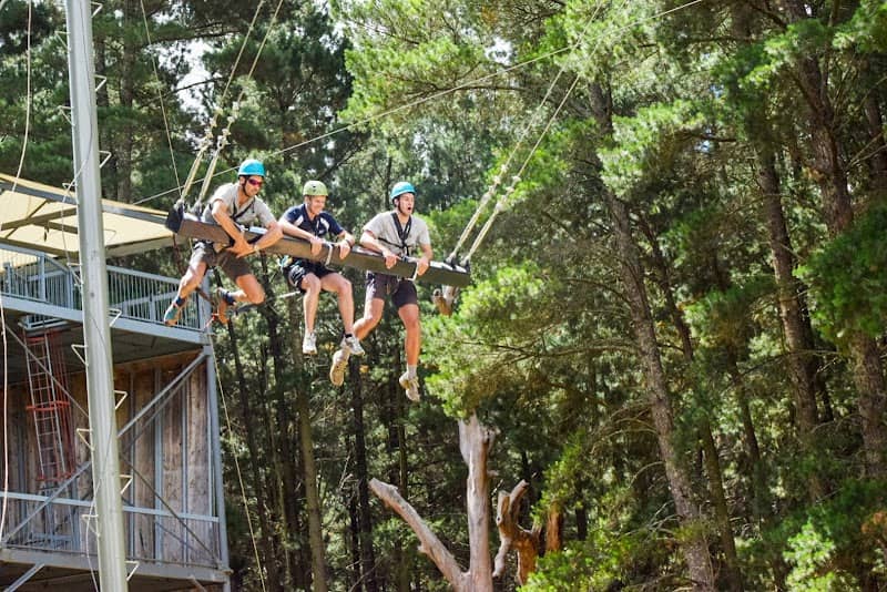 Mount Lofty Adventure Hub - Image 2