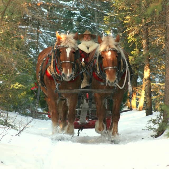 Adirondack Sleigh Rides - Image 1