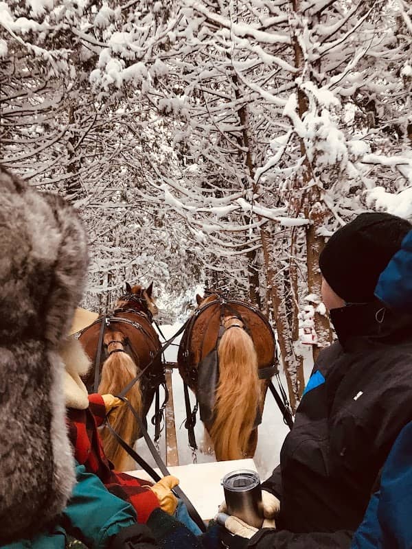 Adirondack Sleigh Rides - Image 3