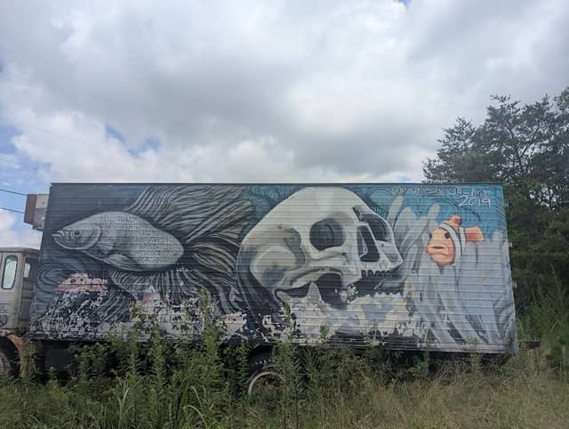 School Bus Graveyard - Image 3