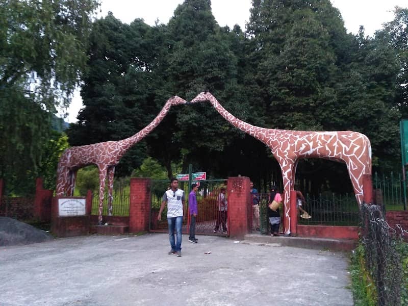 Roing Zoo - Image 1