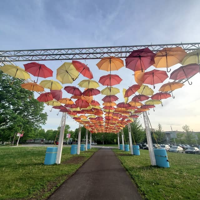 Umbrella Sky Elmhurst - Image 2