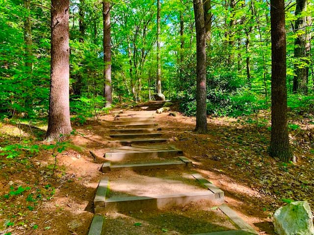 Dunn State Park - Image 1