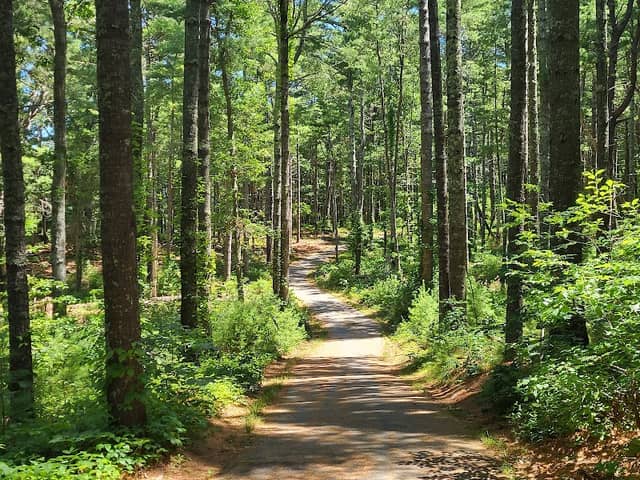 Nickerson State Park - Image 3