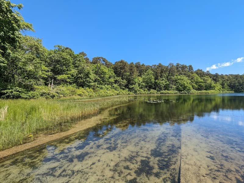 Nickerson State Park - Image 2