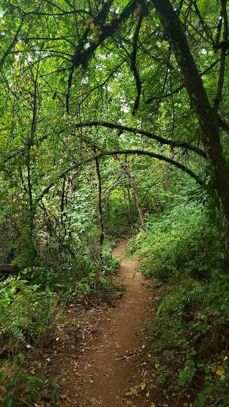 Skyline Trail - Image 1