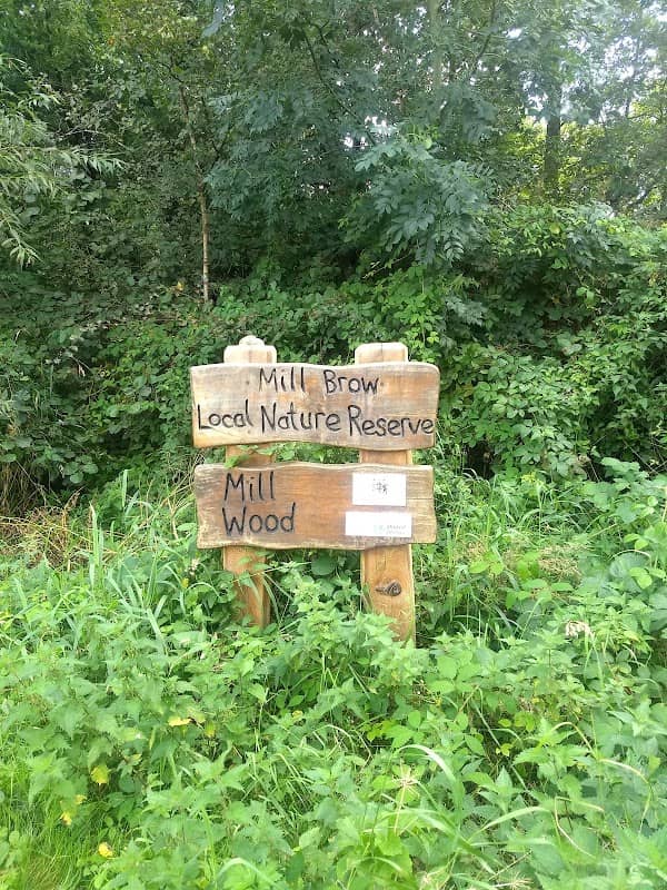 Mill Wood Nature Reserve - Image 2