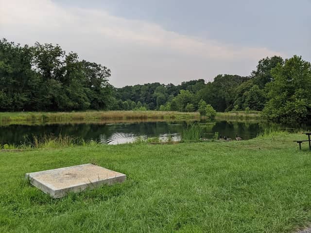 Carrie Dorsey Park - Image 2