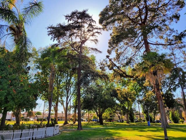 Torrance Park - Image 1