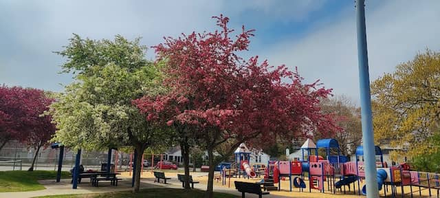 Carr Park - Image 2