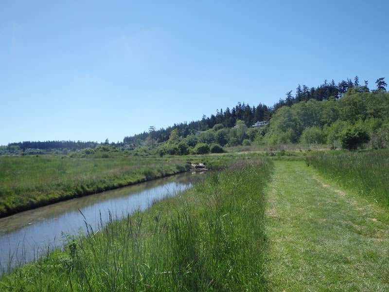 Theodore Park - Image 1