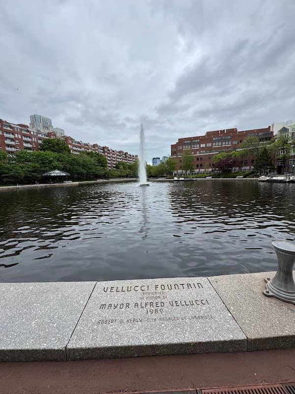 Vellucci Fountain - Image 1